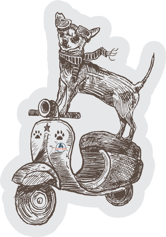 Chi-Wheelie Sticker